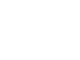 Logo Zurich